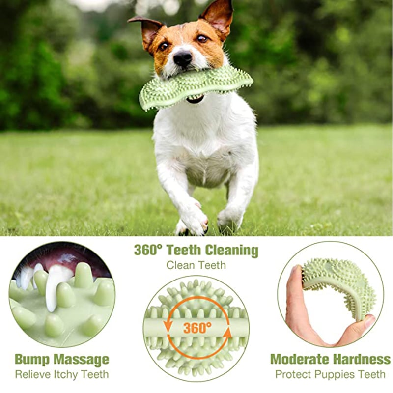 Chew-Pro Dog Toy Ball