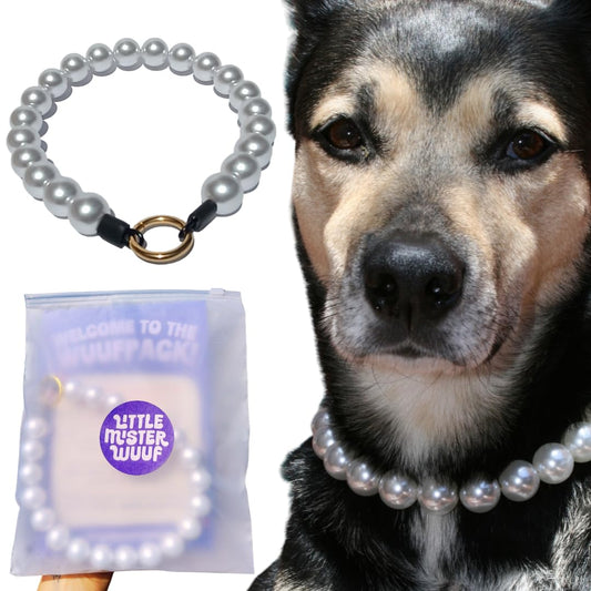 Premium Beaded Dog Collar I 18kt Gold Plated Loop Clasp & Stainless Steel Thread I Pearl Dog Collar for Medium & Large Breeds I Fancy Dog Necklace (Ice White 16.5" Inner Circumference)