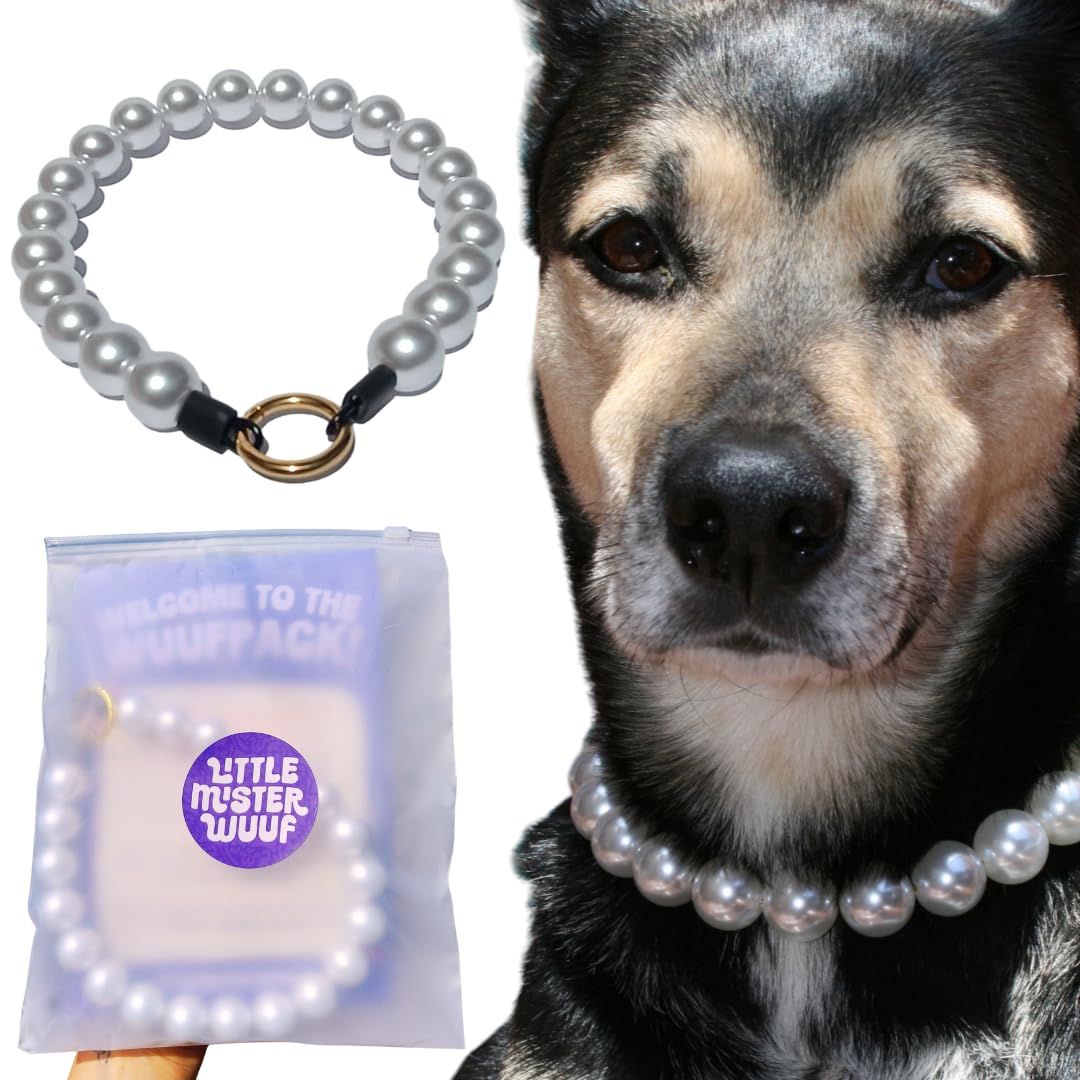 Premium Beaded Dog Collar I 18kt Gold Plated Loop Clasp & Stainless Steel Thread I Pearl Dog Collar for Medium & Large Breeds I Fancy Dog Necklace (Ice White 16.5" Inner Circumference)